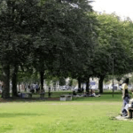 tout près de la place Carnot et de son parc